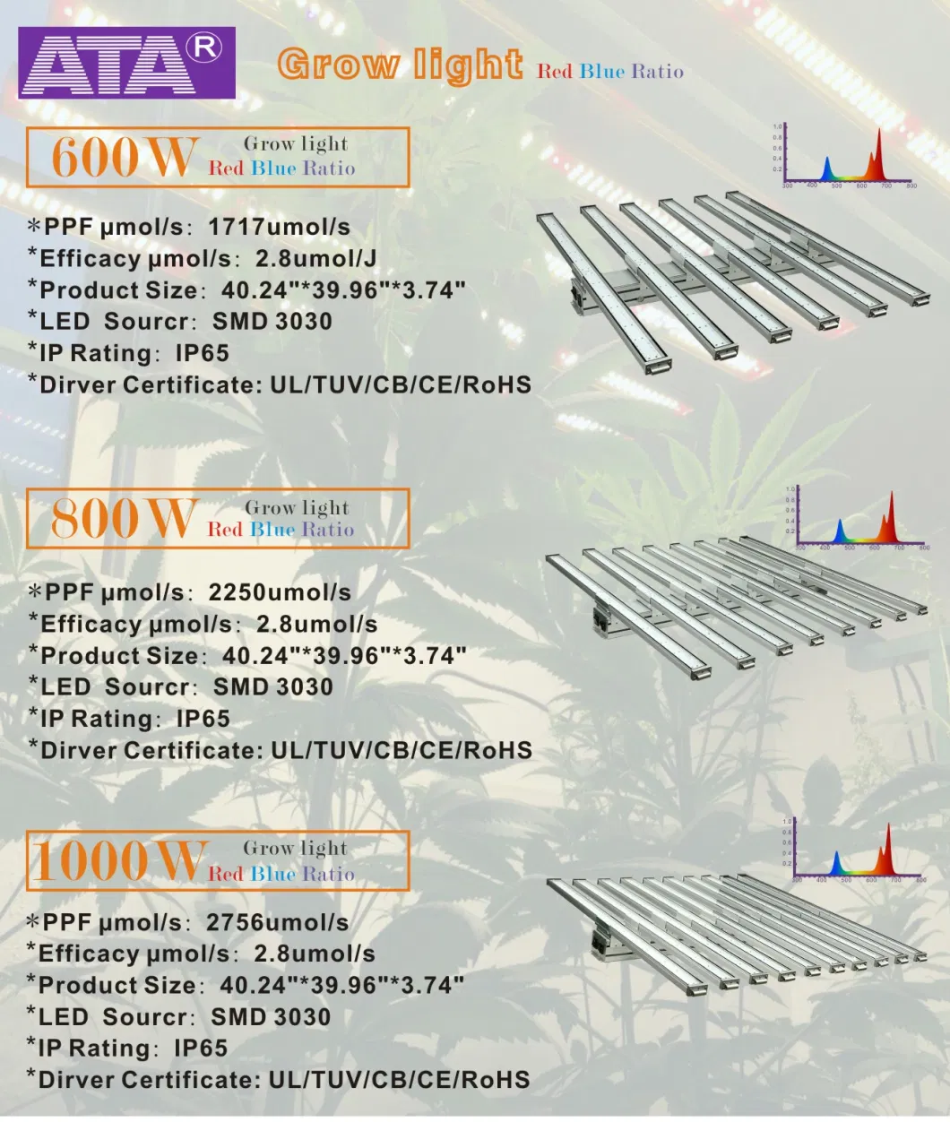 Shenzhen Manufacture 50W/75W/80W/100W/150W/300W/400W/450W/500W/600W/650W/700W/800W/900W/1000W/1200W/1500W COB/SMD LED Plant Grow Lights for Sale