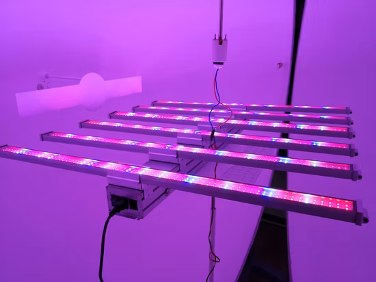 800W 240W 600W 실내 식물 바 전체 스펙트럼 수경재배 삼성 1000W LED 성장 조명