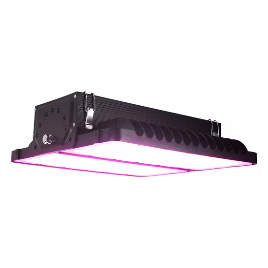 Meanwell 400W 800W 1200W 1600W 전체 스펙트럼 경기장 LED 성장 조명