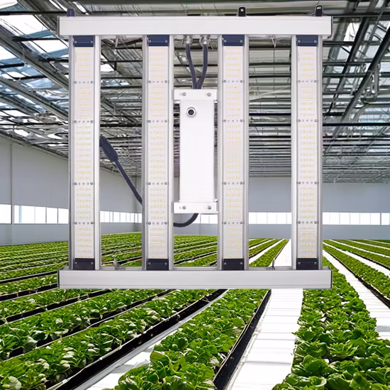 수경법 삼성 접이식 LED는 식물 성장을 위한 빛 480W 640W 800W 1000W 접이식 LED를 성장시킵니다