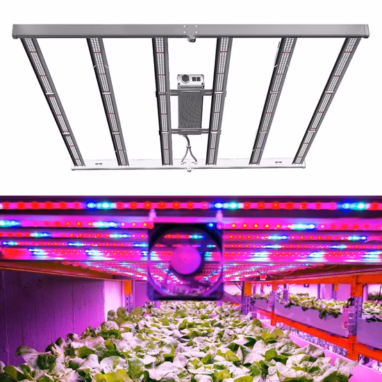 650W 스파이더 전체 스펙트럼 패널 고품질 제조 LED 성장 조명