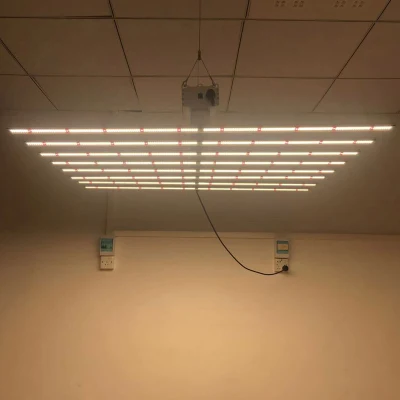 접이식 240W 480W 600W 전체 스펙트럼 LED 야채 재배 실내 식물용 조명 성장